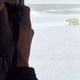 Illustration for article titled I Looked A Wild Polar Bear In The Eye